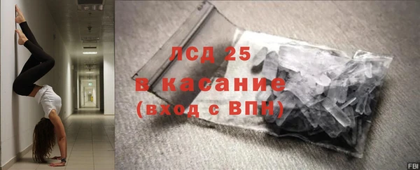 хмурый Осинники
