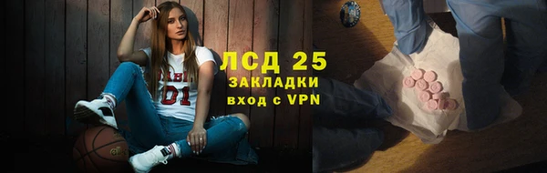 стаф Алексин
