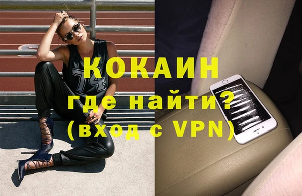 стаф Алексин