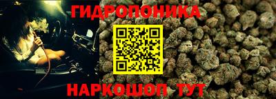 молекула духа Заволжье